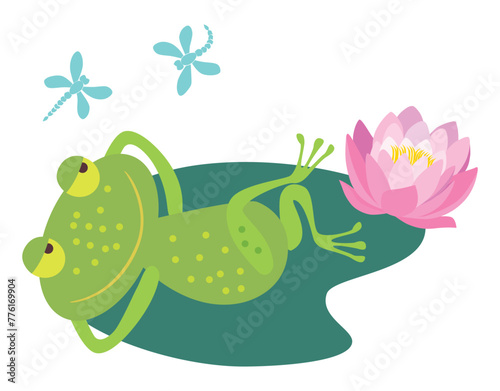 Frog cartoon green cheerful lying on leaf pink water lily, summer pond, flying dragonflies, vector illustration isolated on white