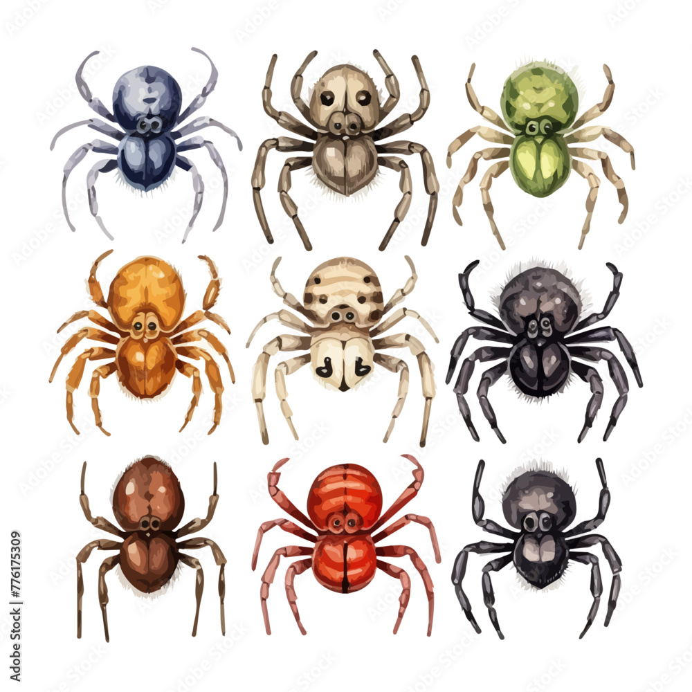 Watercolor Illustration vector of a colored spider, isolated on a white ...