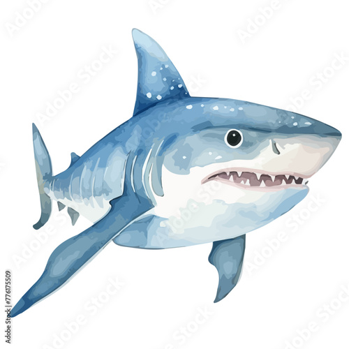 Watercolor painting vector of a shark in sea  isolated on a white background  shark vector  clipart Illustration  Graphic logo  drawing design art  clipart image