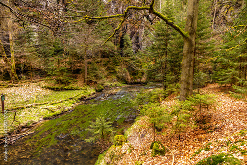 Wallpaper Mural Eine frühlingshafte Wandertour durch das Kirnitzschtal in der Sächsische Schweiz - Sachsen - Deutschland Torontodigital.ca