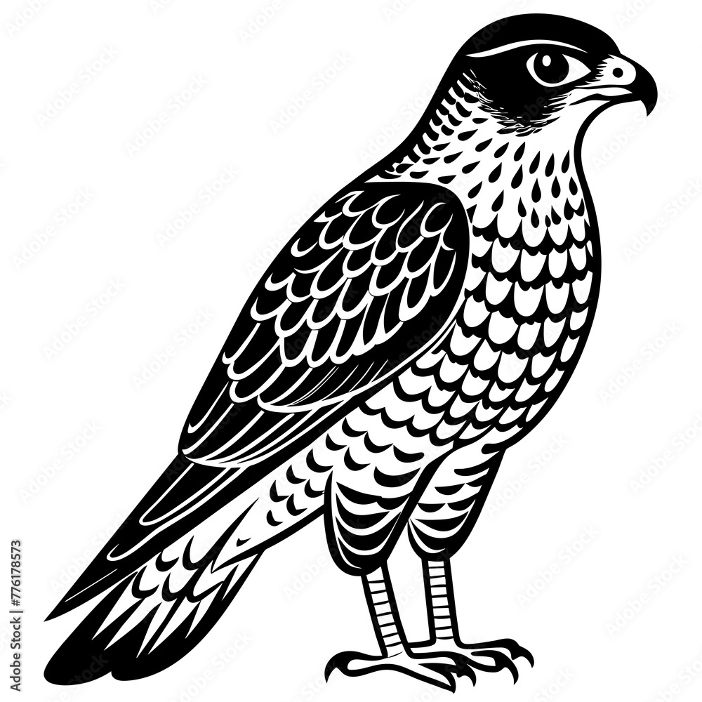 Obraz premium sparrowhawk silhouette vector illustration svg file 