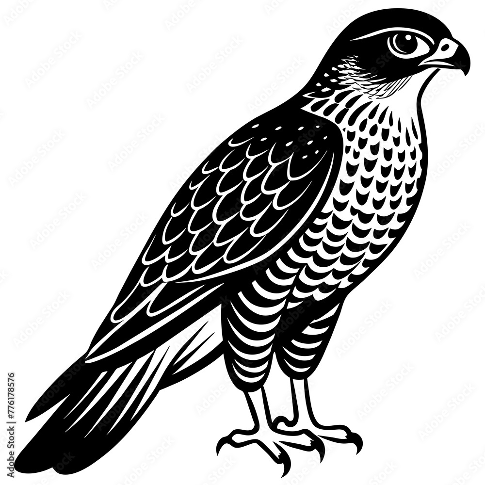 Fototapeta premium sparrowhawk silhouette vector illustration svg file 