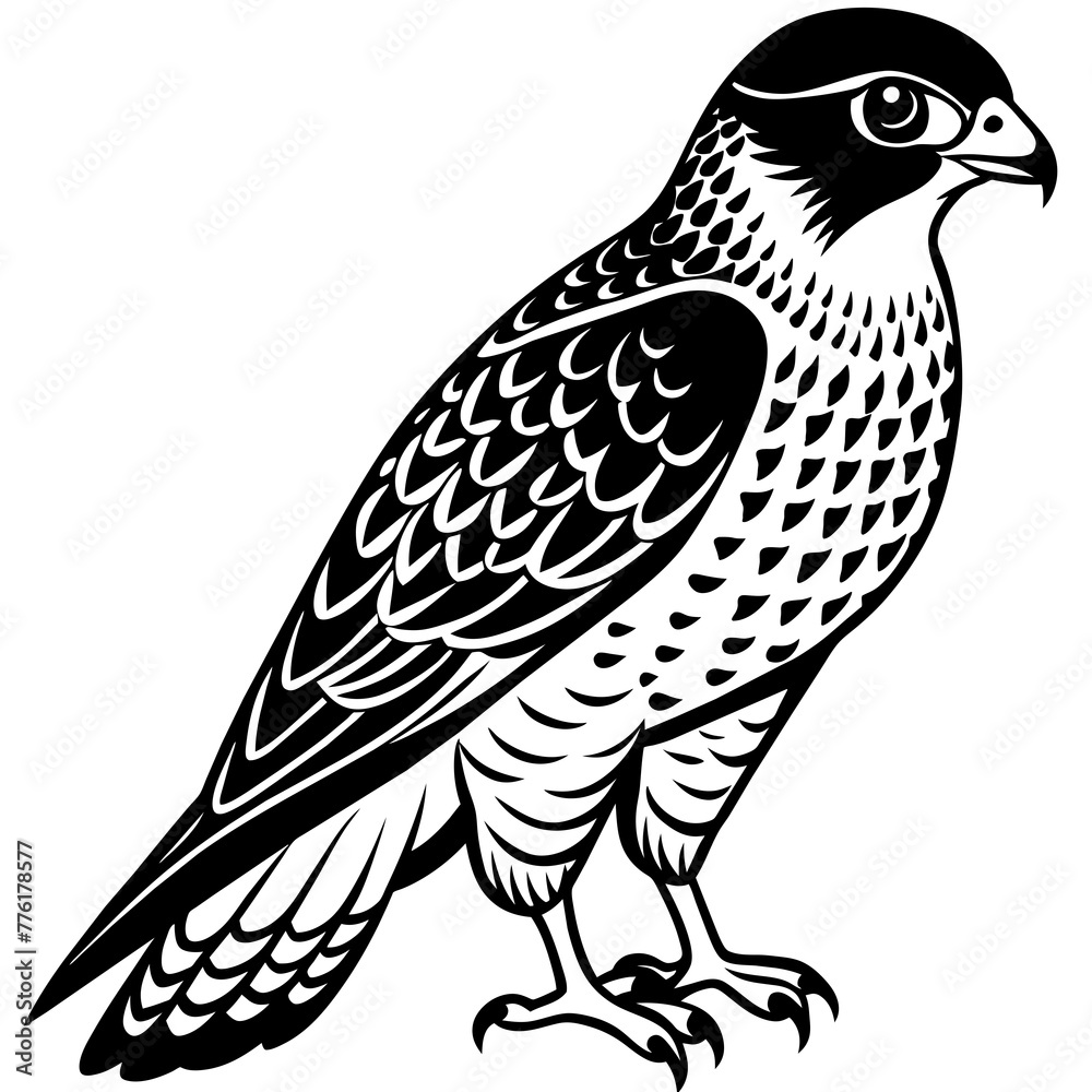 sparrowhawk silhouette vector illustration svg file
