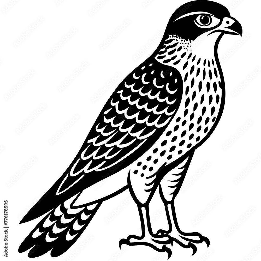 Fototapeta premium sparrowhawk silhouette vector illustration svg file 