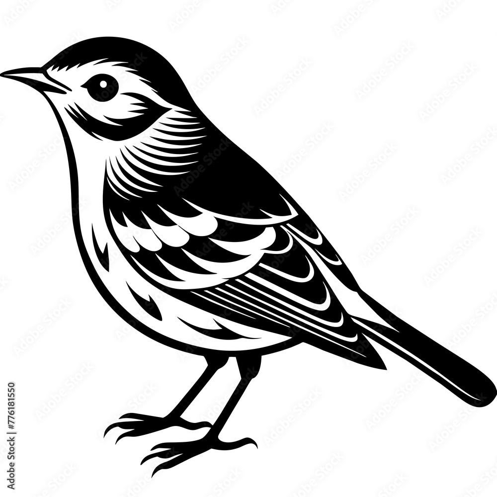 warbler silhouette vector illustration svg file
warbler silhouette vector illustration svg file