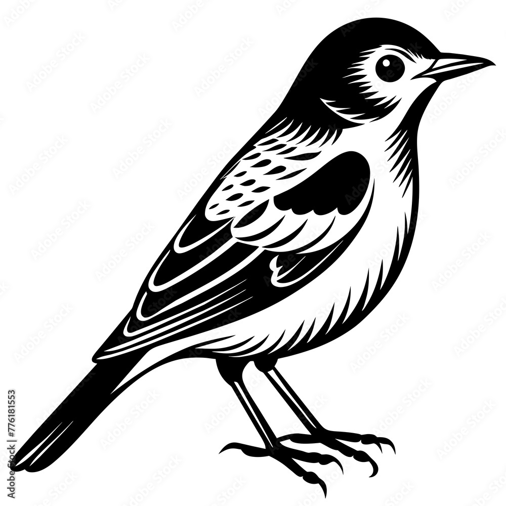 Obraz premium warbler silhouette vector illustration svg file 