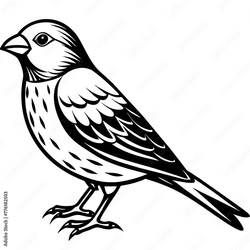 Obraz premium canary silhouette vector illustration svg file 