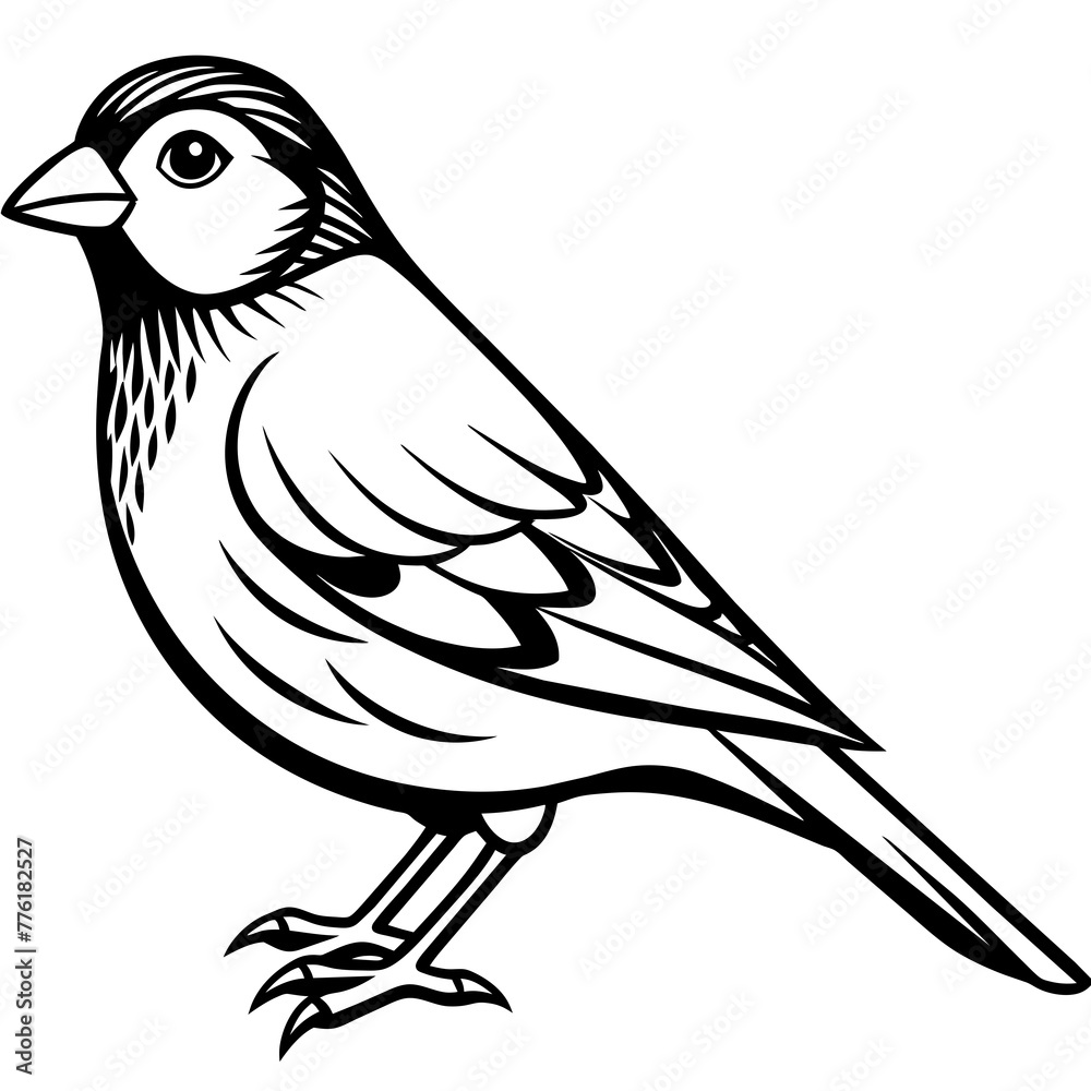 Obraz premium canary silhouette vector illustration svg file 