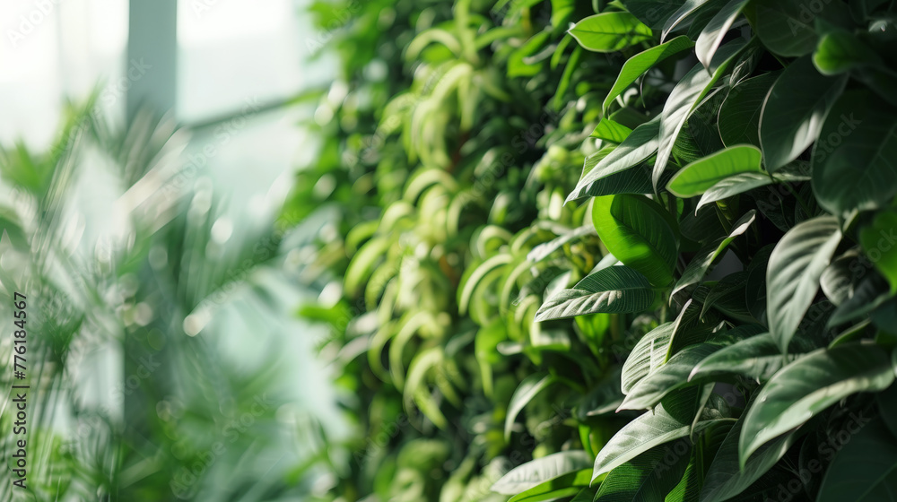 Obraz premium close up of green leaves on the wall