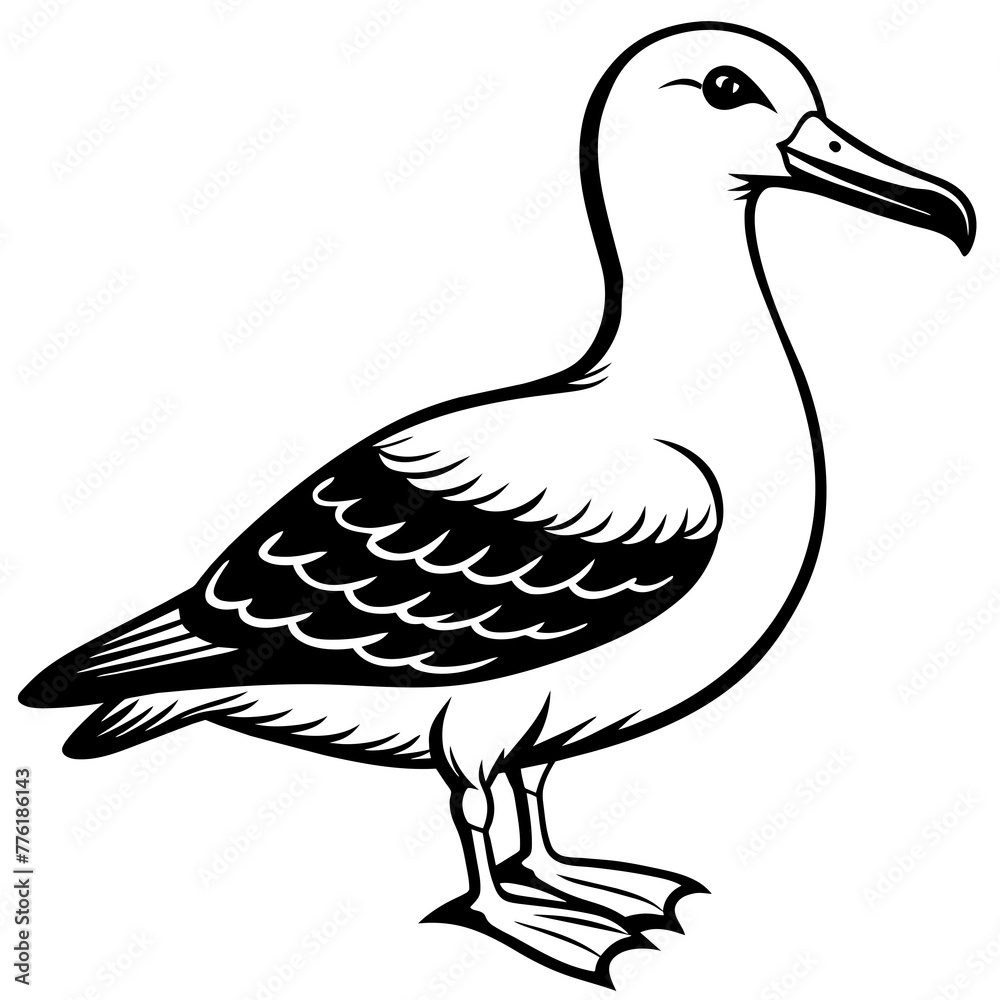 albatross silhouette vector illustration svg file
