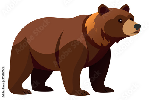 brown bear vector illustration © Kanay
