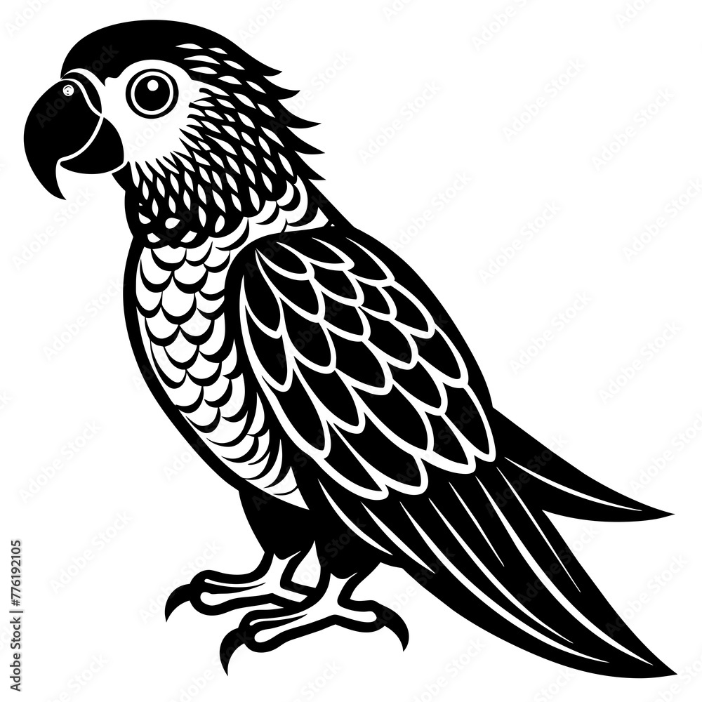parrot  silhouette vector illustration svg file
