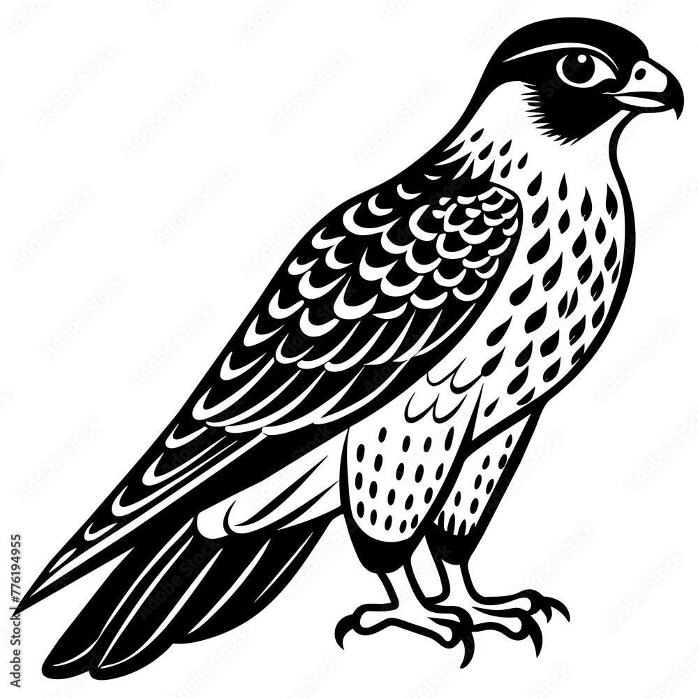 Fototapeta premium falcon silhouette vector illustration svg file