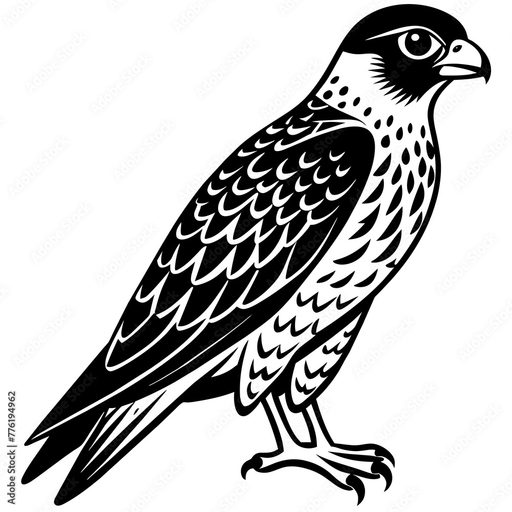 Obraz premium falcon silhouette vector illustration svg file 