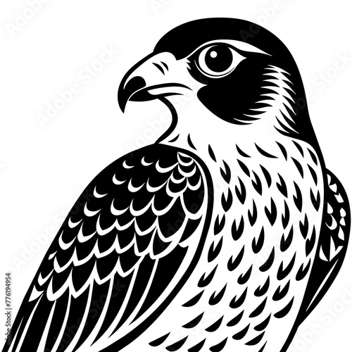 falcon silhouette vector illustration svg file
