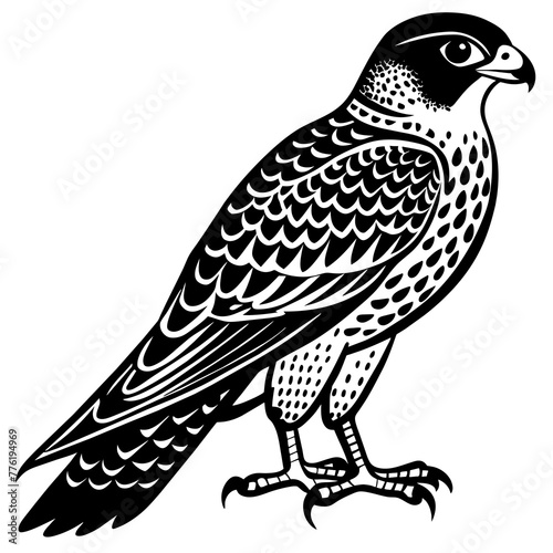 falcon silhouette vector illustration svg file
