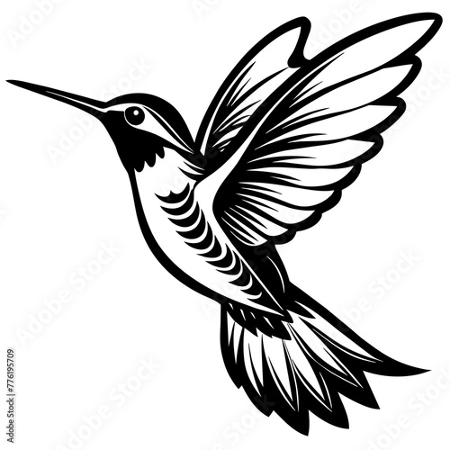 hummingbird silhouette vector illustration svg file 