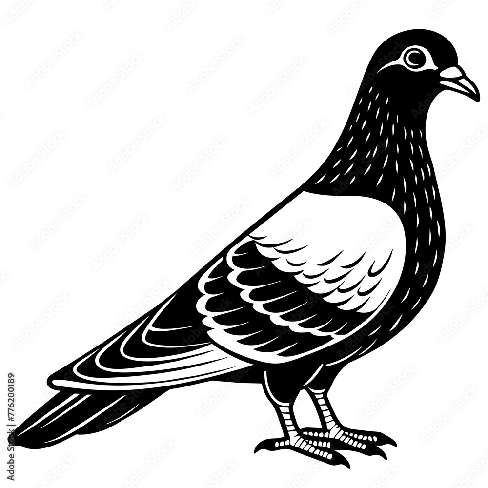 Fototapeta premium pigeon silhouette vector illustration svg file 