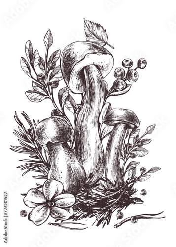Mushrooms forest boletus with grass, blueberries, moss and cone. Graphic illustration hand drawn in black ink. Pre-made composition EPS vector.