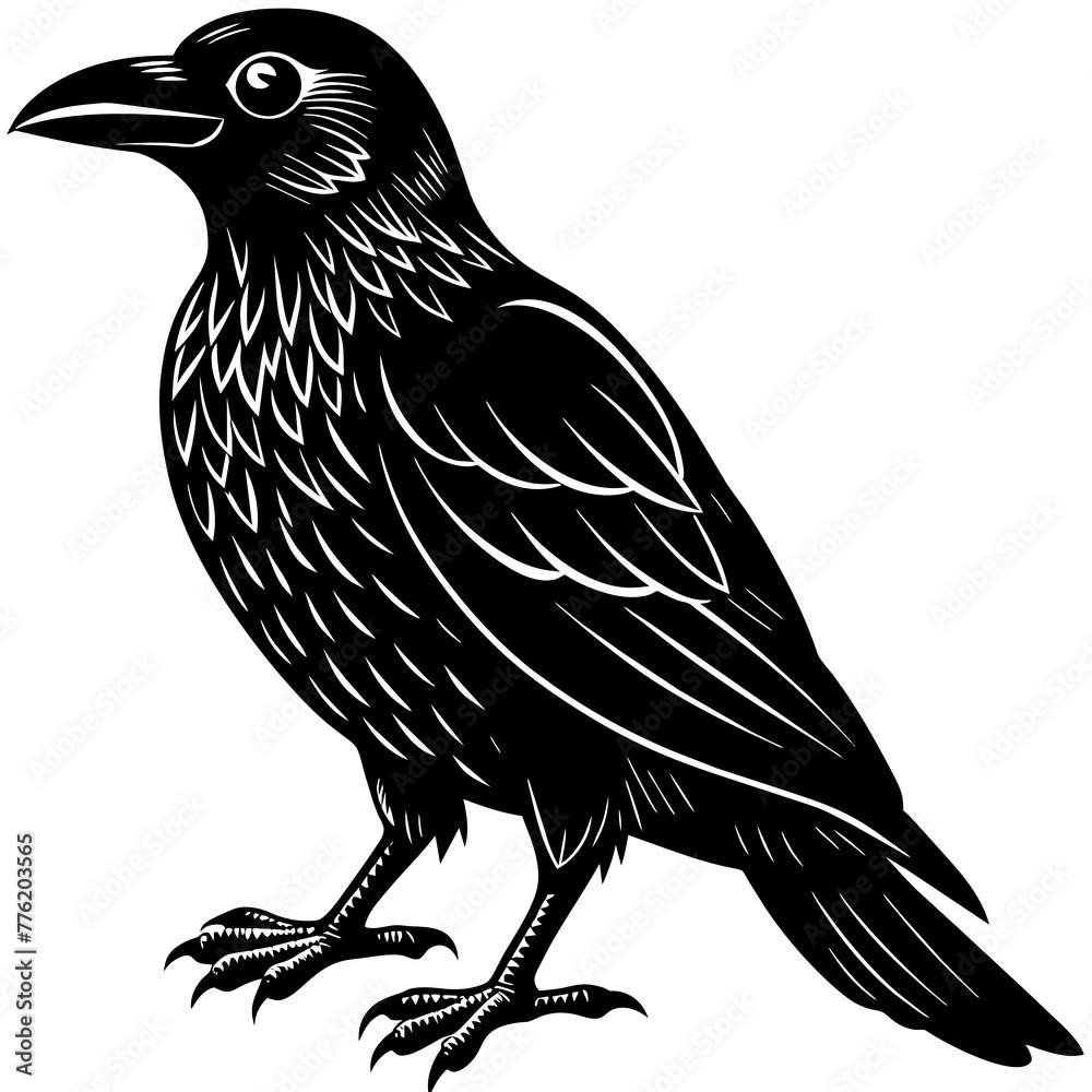 Obraz premium crow silhouette vector illustration svg file 