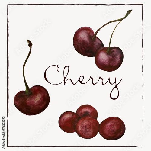 Cherry.Watercolor botanist illustration collection