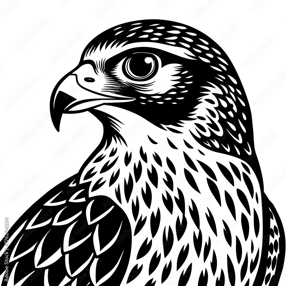 Obraz premium hawk silhouette vector illustration svg file 