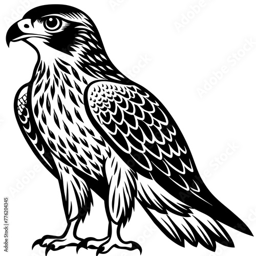 hawk silhouette vector illustration svg file
