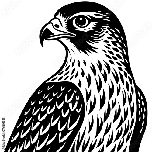 hawk silhouette vector illustration svg file
