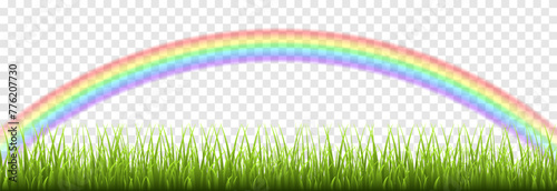 Vector young green grass png. Young grass, lawn. Grass with a rainbow. Grass borders.