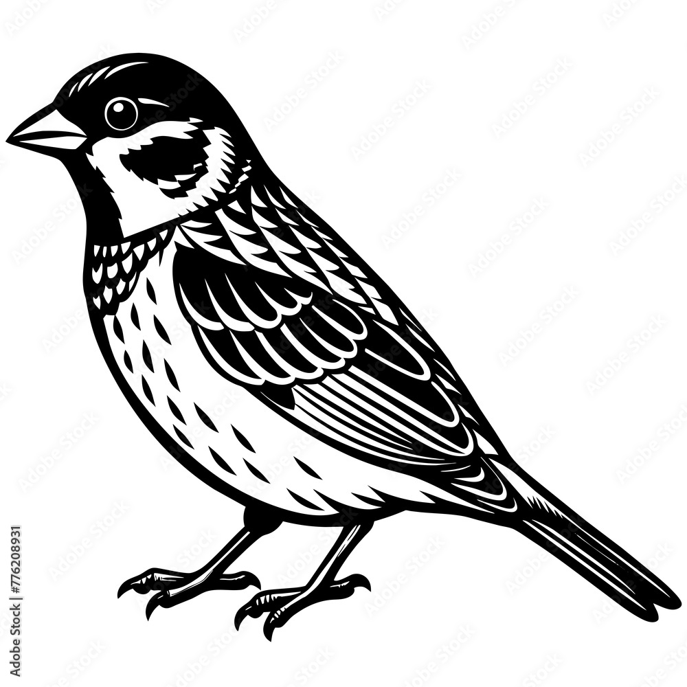 sparrow silhouette vector illustration svg file
