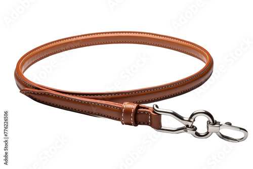 Rustic Charm: Elegant Brown Leather Leash With Metal Hook.