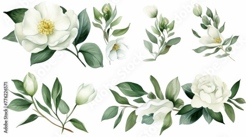 watercolor wedding set with white camellias, leaves, branches and buds