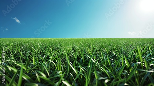 A vibrant  super realistic image featuring a lush  green lawn under the clear blue sky of a perfect day.