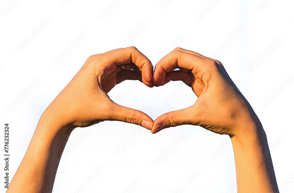 Fototapeta premium Heart shaped hands