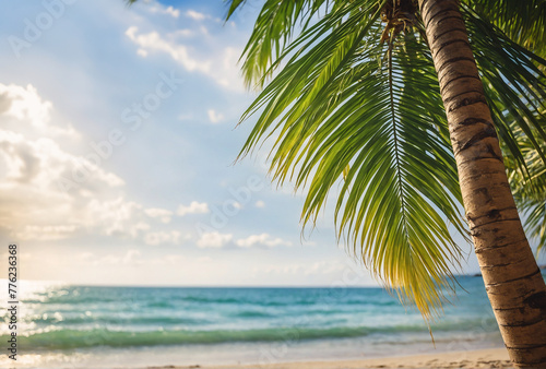 palm trees on the beach © eman