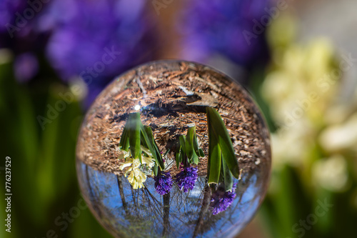 Lens ball image of spring flowers
-Pepperell, Massachusetts 