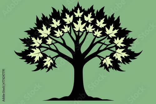 Sugar maple tree vector design  © AL