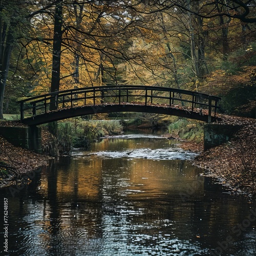 Bridge in the forest. © Yahor Shylau 