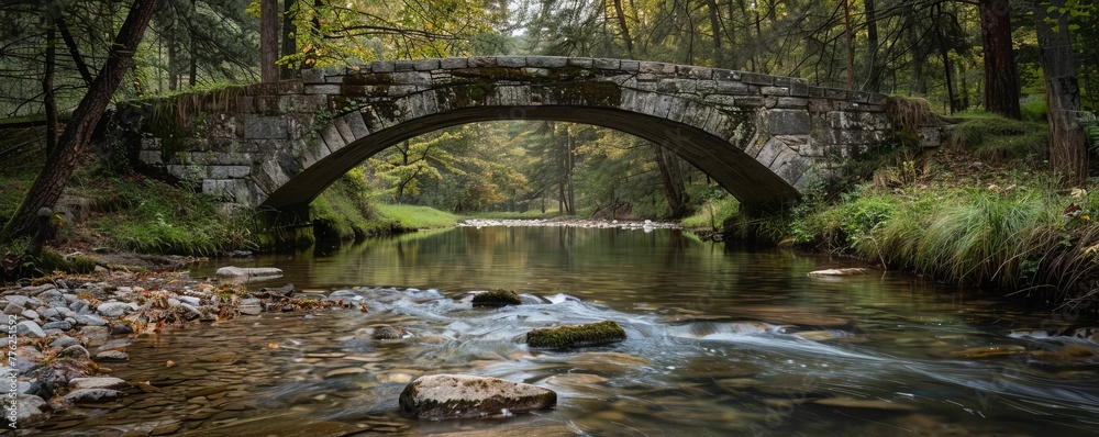 Bridge in the forest.