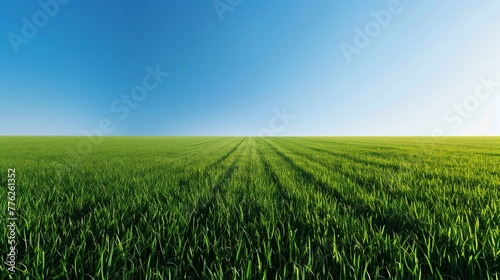 Under the canopy of a clear, azure sky, a perfectly maintained green field stretches out, offering a canvas of nature's finest green, reserved for International Women's Day commemorations. photo