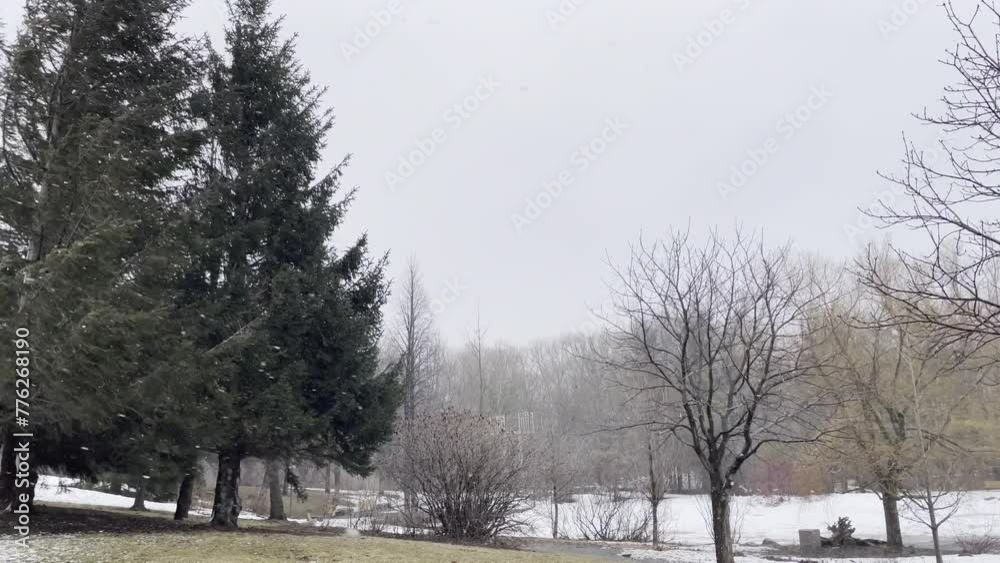 Le vent souffle et la neige tombe dans un parc