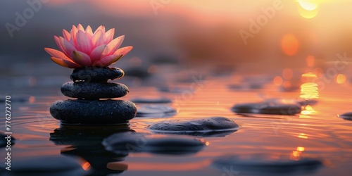 Flower Resting on Rock in Water