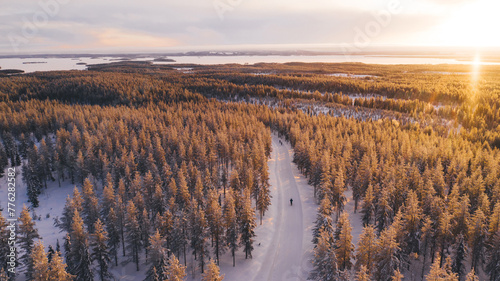 Bird’s eye aerial view, group of travelers riding with bicycles on path surrounded on snowy white coniferous forest trees enjoying active sport recreation, Winter tourism in famous Riisitunturi park