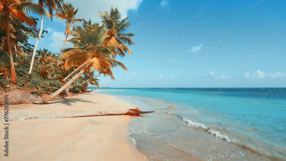 Hawaiian white sand beach on palm island in spring morning. Blue water under a high transparent tropical sky. Beautiful coconut trees on the Caribbean coast. Cruise. The video is tinted.