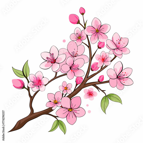 line art Pink sakura flower background. Watercolor cherry blossom vector 