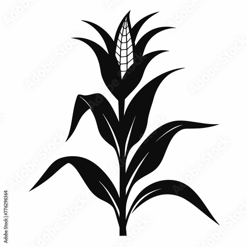 black silhouette of corn plant line