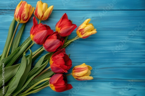Spring Holiday background. Colorful tulips on a blue wooden background  top view. Greeting card with space for text. Valentine s Day  Woman s Day  Mother s Day  Easter.