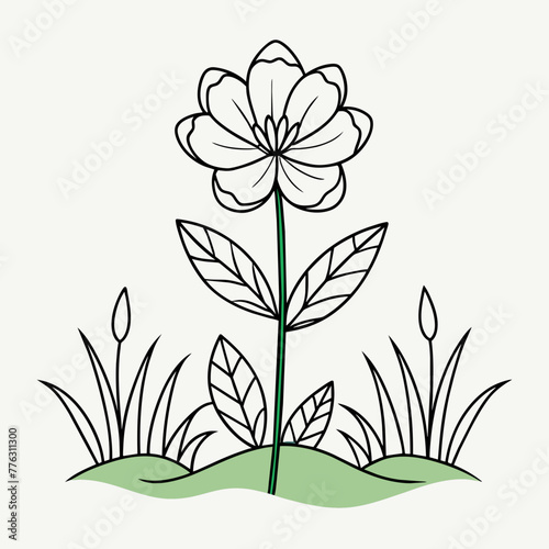 One line drawing Field flower isolated on
