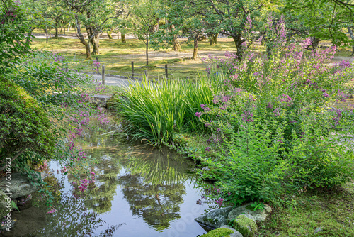 Serene pond Background Pond with reflections 