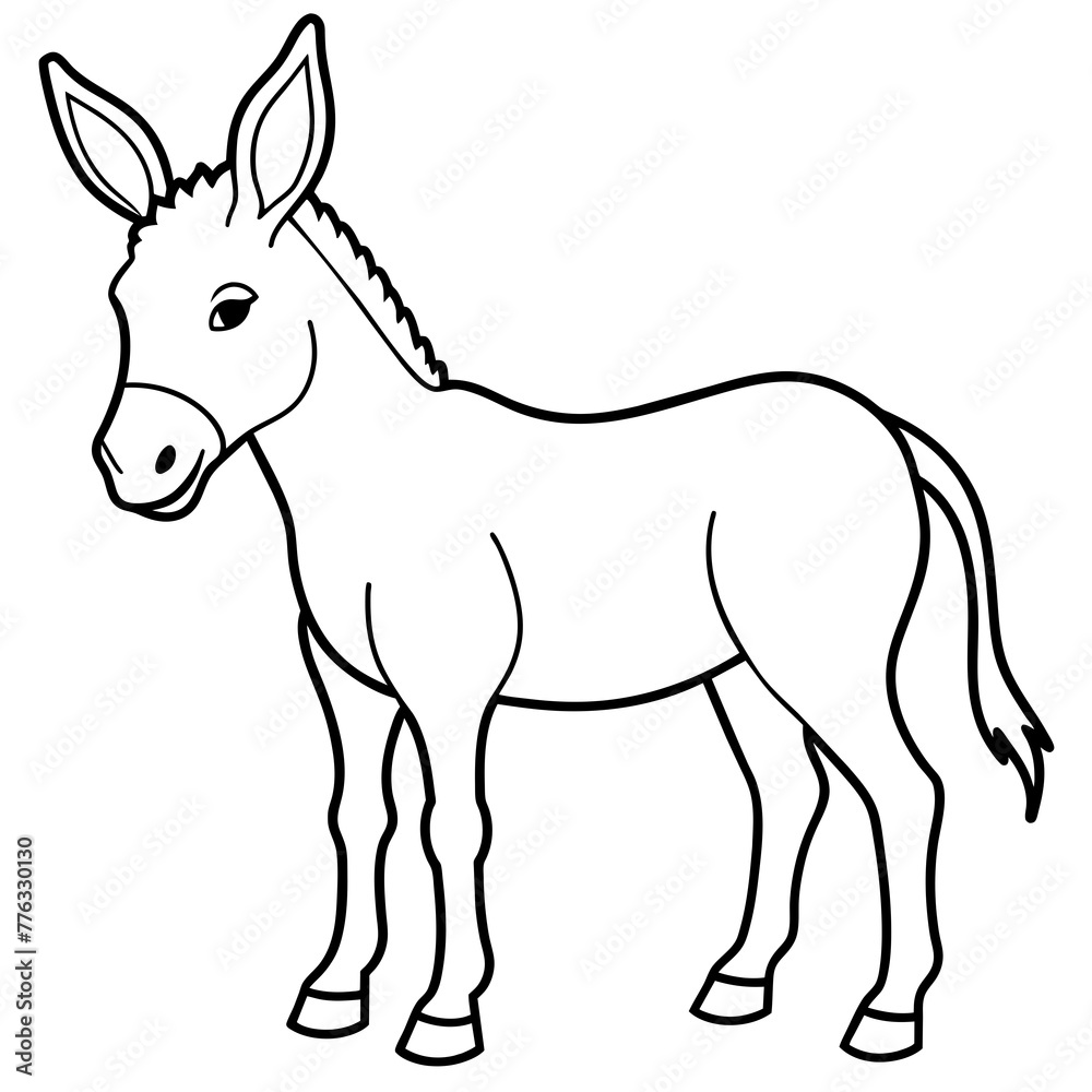 donkey isolated on white